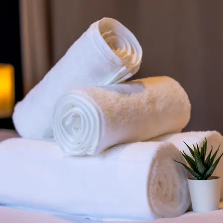 Elegance & Confort - Aux Portes De Paris アパート オルネー・スー・ボア